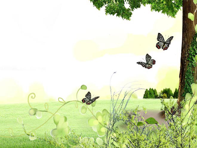 草坪大樹蝴蝶花卉自然PPT背景圖片