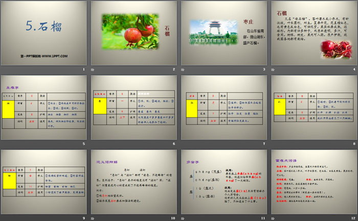 《石榴》PPT（2）