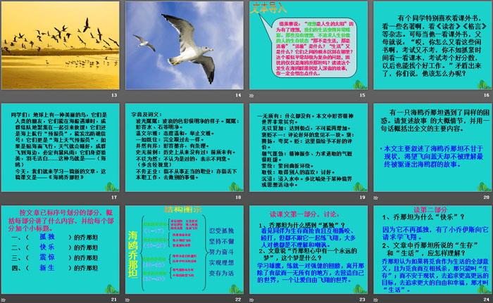 《海鸥乔那坦》PPT
（3）