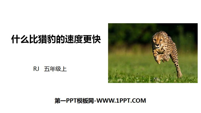 "What is faster than a cheetah" PPT quality courseware