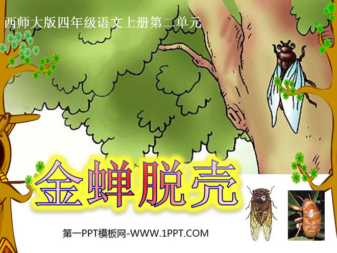 "The Golden Cicada Escapes" PPT Courseware 3