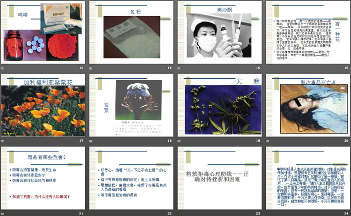 《远离毒品 珍爱生命》PPT
（3）