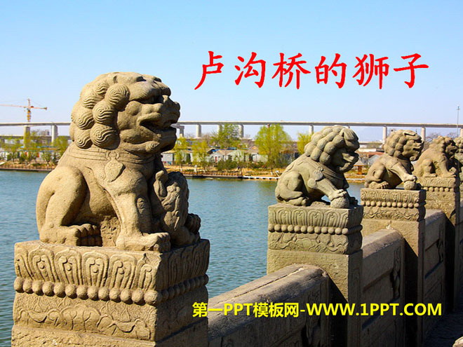 "The Lion of Marco Polo Bridge" PPT courseware