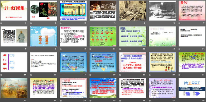 《虎门销烟》PPT课件10
（2）