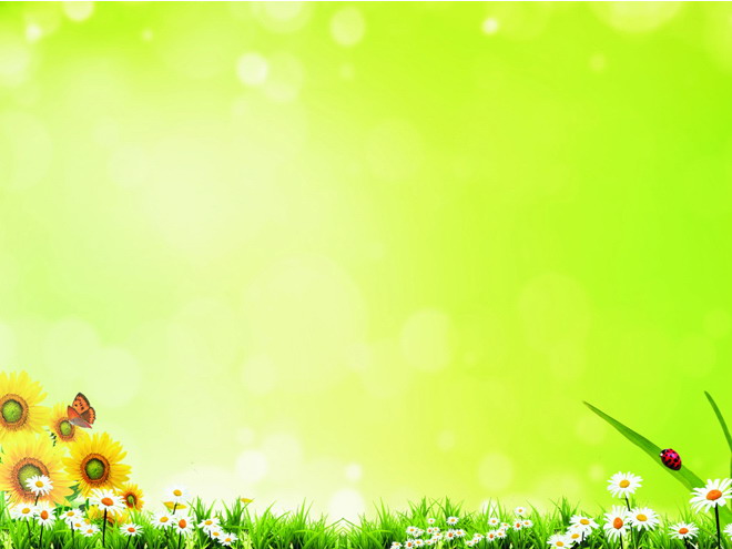 Halo flower butterfly green grass PPT background picture