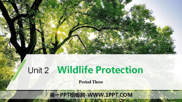 《Wildlife Protection》Period Three PPT