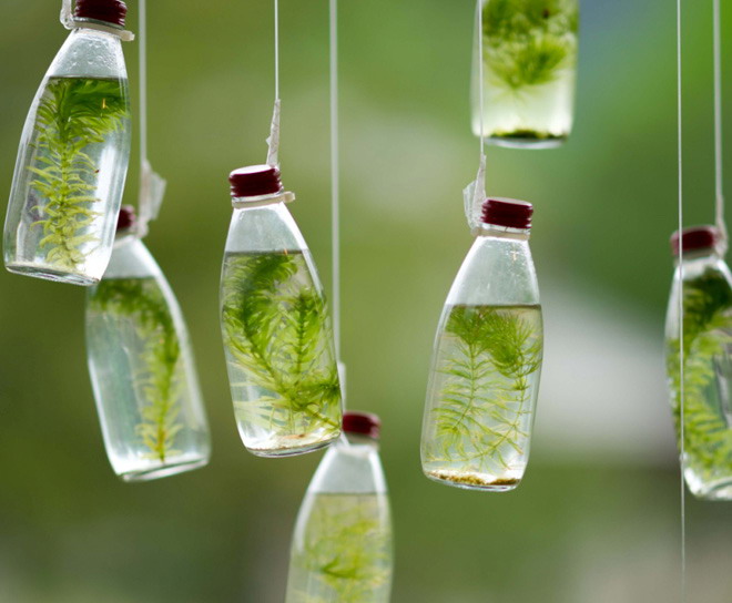 玻璃水杯瓶子綠苔植物PPT背景圖片