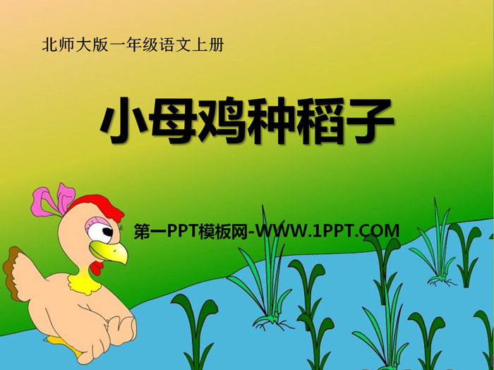 "Little Hen Planting Rice" PPT