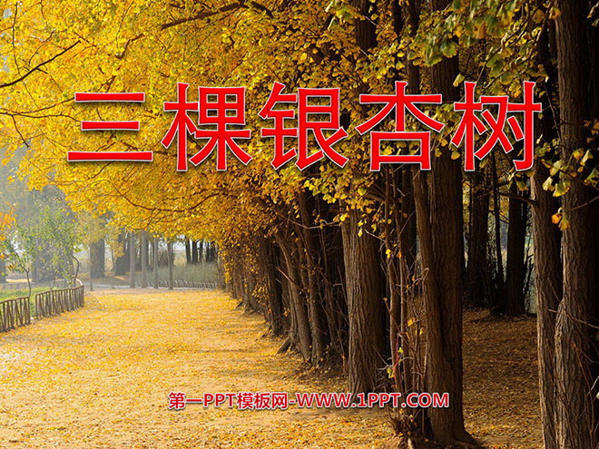 "Three Ginkgo Trees" PPT Courseware 2