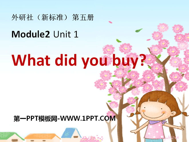"What did you buy?" PPT courseware 2