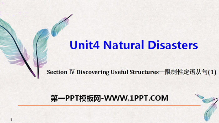 《Natural Disasters》Discovering Useful Structures PPT課件