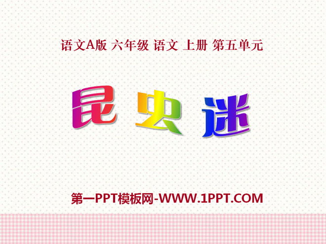 《昆虫迷》PPT课件3
