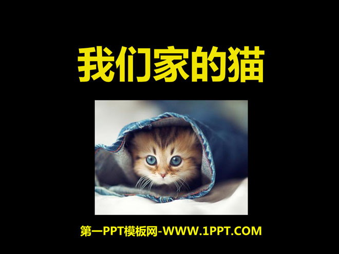 "Our Cat" PPT Courseware 5