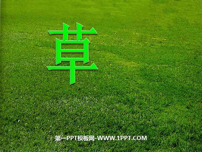 "Grass" PPT courseware 5