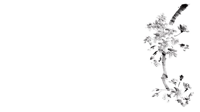 六张黑白水墨山水花鸟中国风PPT背景图片（5）
