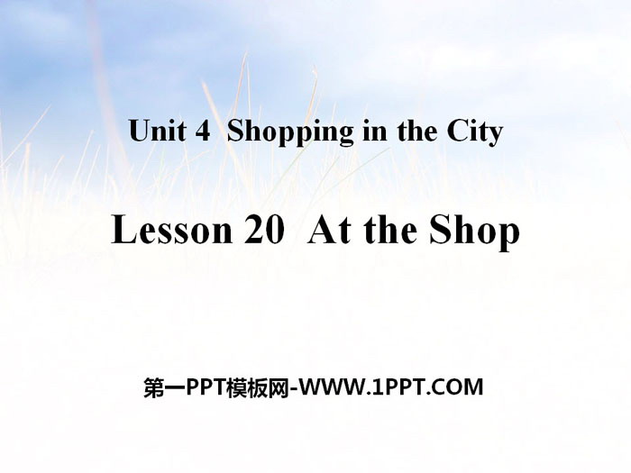 《At t​​he Shop》Shopping in the City PPT教學課件
