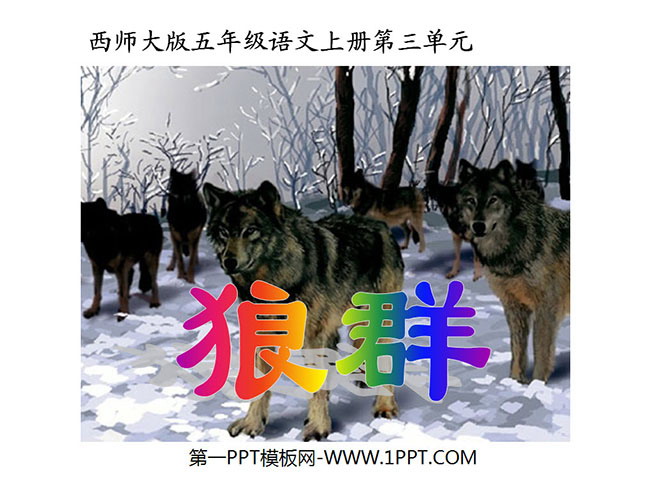 "Wolves" PPT courseware