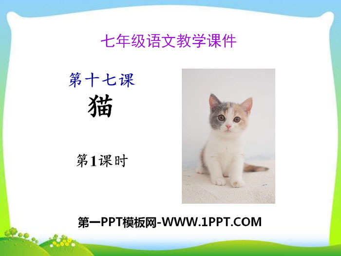 "Cat" PPT (first lesson)