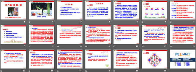 《基因畅想》PPT课件
（2）