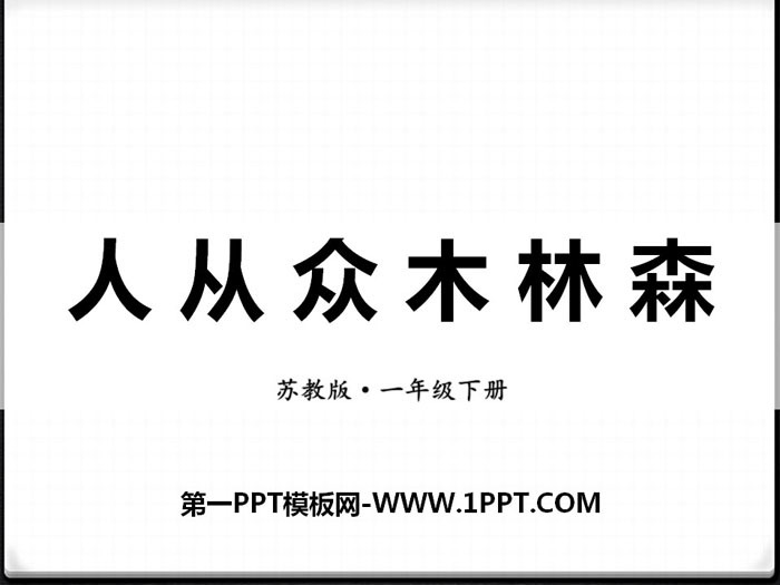 《人从众木林森》PPT