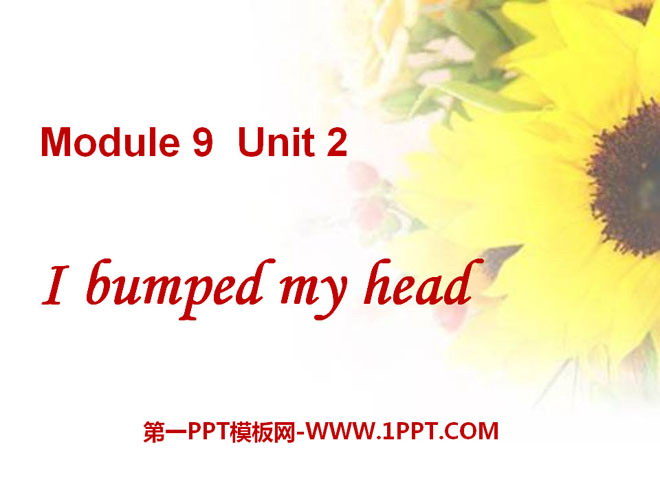 "I bumped my head" PPT courseware 2