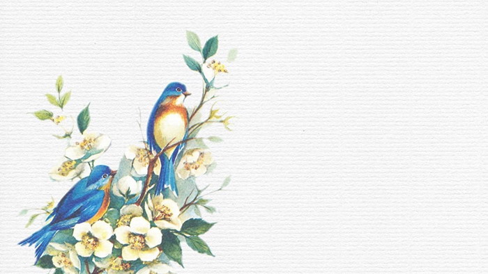 Elegant flowers and birds PPT background picture