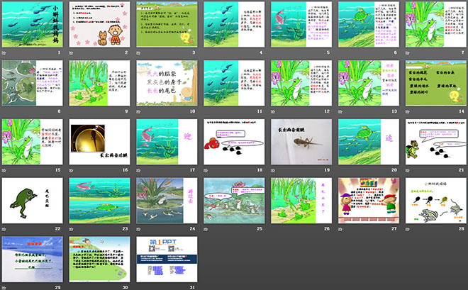 《小蝌蚪找妈妈》PPT课件2（2）
