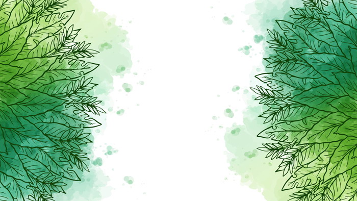 三张绿色手绘叶子线条PPT背景图片（2）