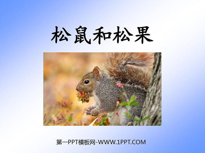 "Squirrel and Pine Cone" PPT Courseware 5