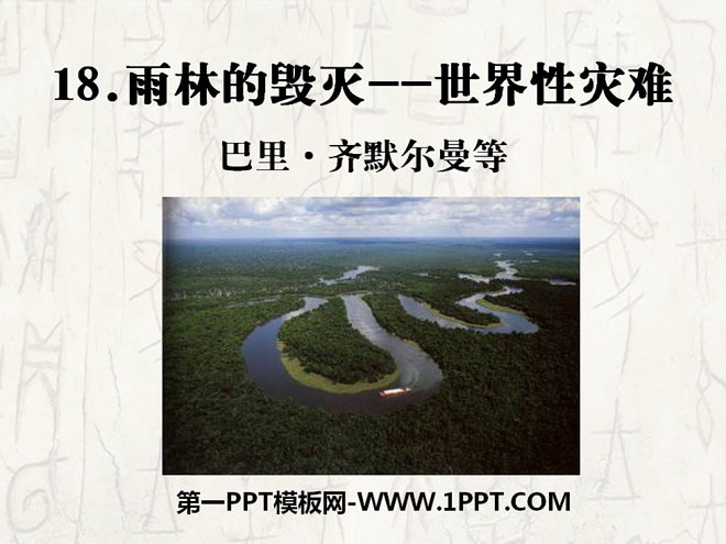 "The Destruction of the Rainforest—A Worldwide Disaster" PPT courseware