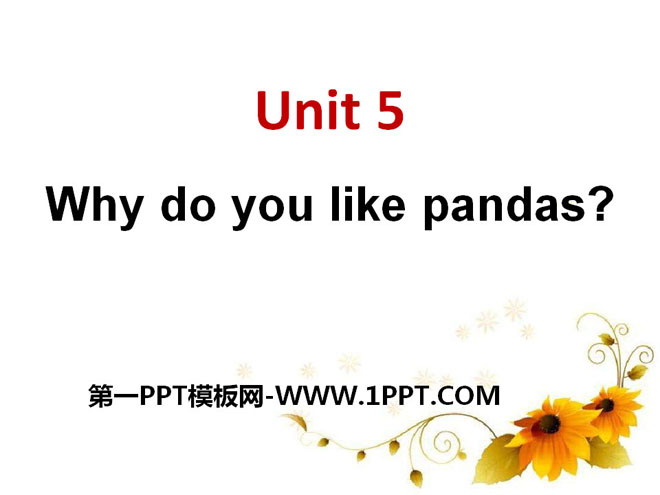 "Why do you like pandas?" PPT courseware 10