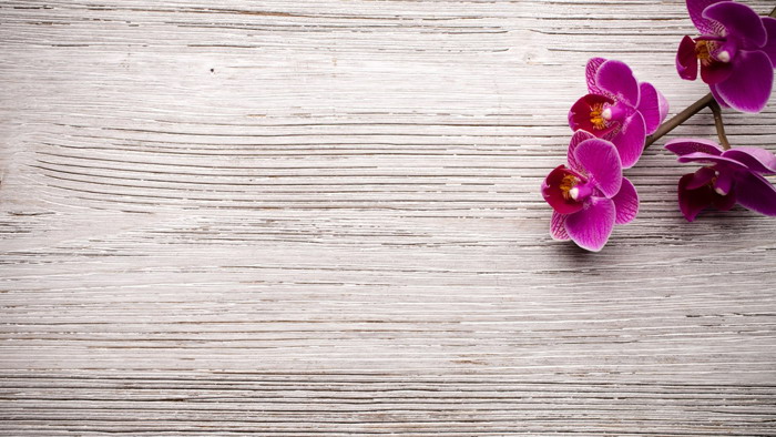 Wooden small flower PPT background picture