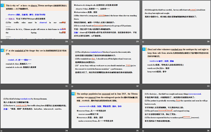 《Wildlife Protection》Period Two PPT（5）