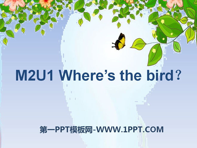 "Where’s the bird?" PPT courseware