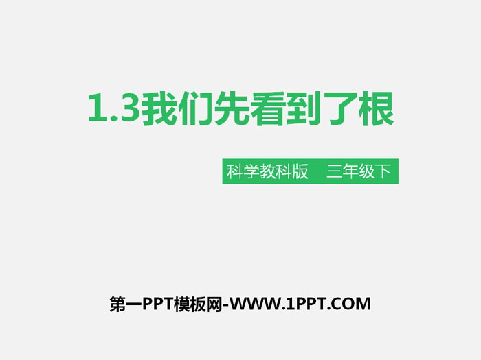 《我们先看到了根》植物的生长变化PPT下载