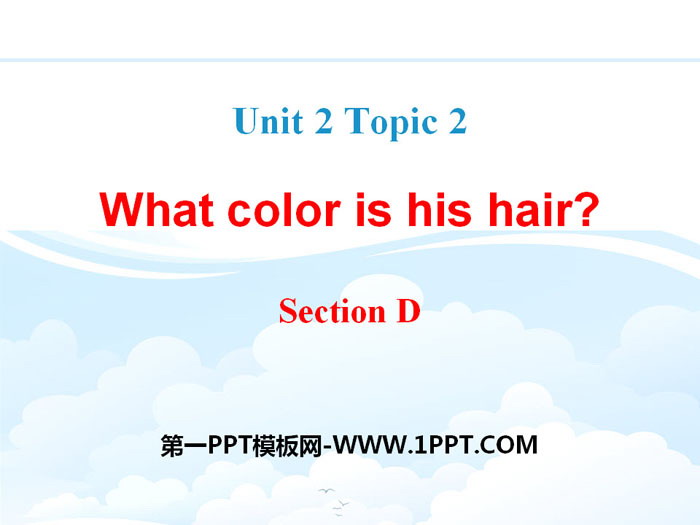 "What color is his hair?" SectionD PPT
