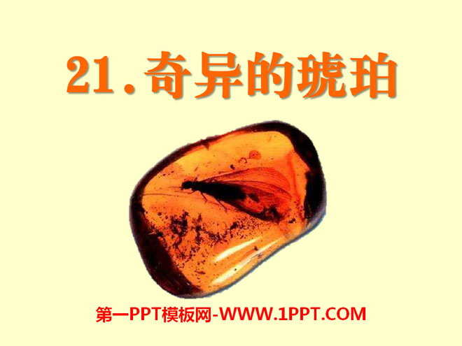"Strange Amber" PPT courseware 5