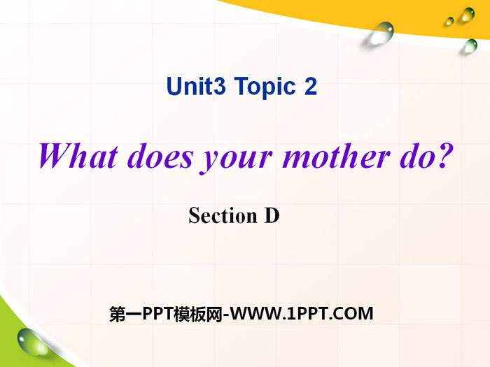 "What does your mother do?" SectionD PPT