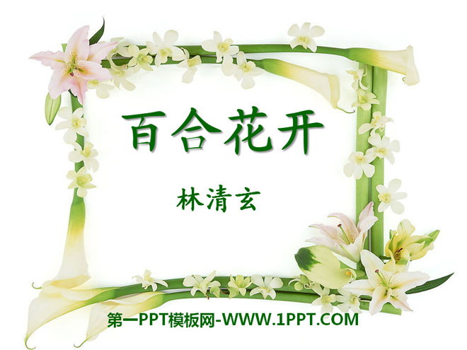 "Lily Blossoms" PPT courseware 3