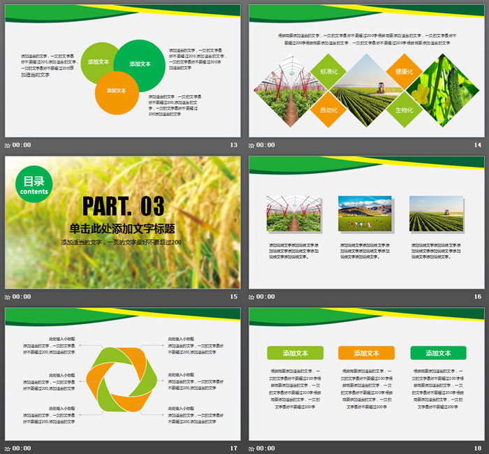 水稻小麦玉米背景的农产品PPT模板（4）