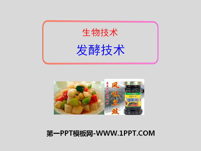 "Fermentation Technology" PPT courseware