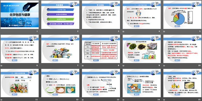 《化学物质与健康》现代生活与化学PPT课件2（2）