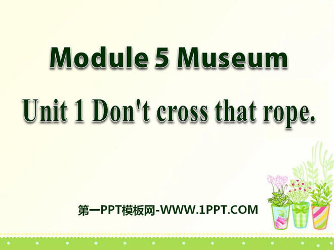 "Don't cross that rope" Museums PPT courseware