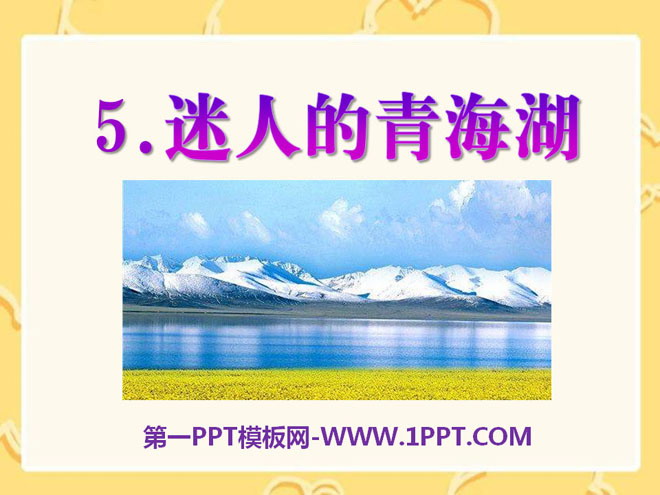 "Charming Qinghai Lake" PPT courseware 2