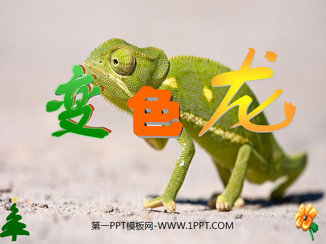 "Chameleon" PPT courseware download 3