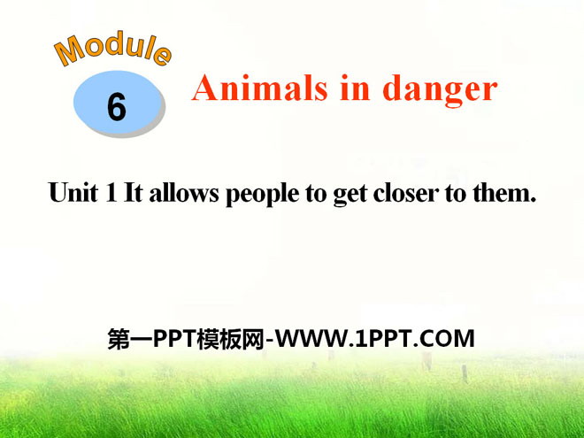 《It allows people to get closer to them》Animals in danger PPT课件4