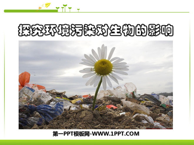 "Exploring the Impact of Environmental Pollution on Biology" The Impact of Human Activities on the Biosphere PPT Courseware 4