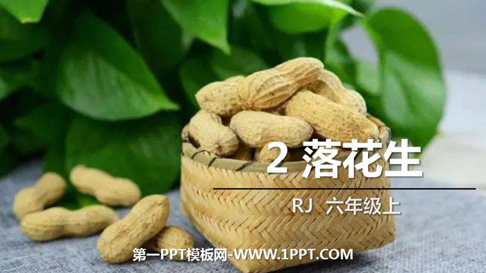 "Luo Peanut" PPT quality courseware