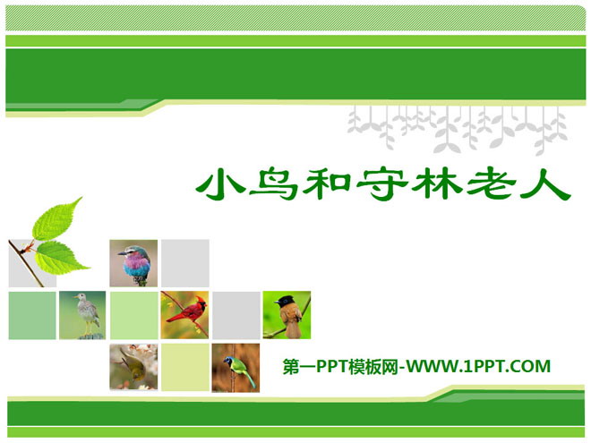 "The Bird and the Old Forest Guard" PPT courseware