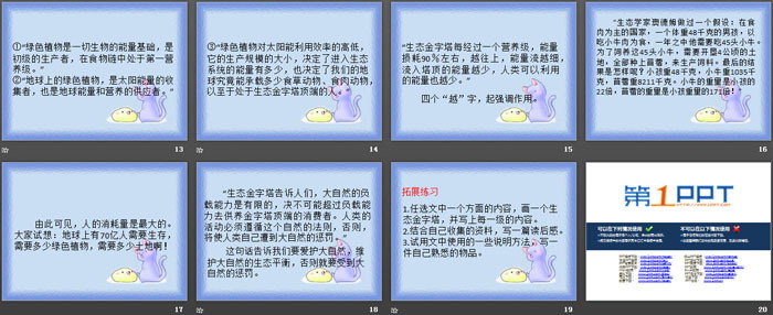 《生态金字塔》PPT下载
（3）